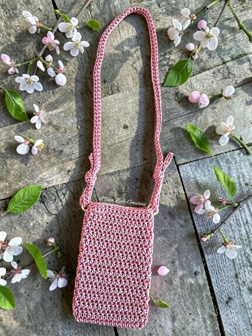 Pochette Les Vagabondes
