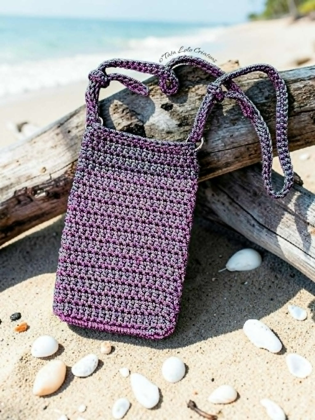 Pochette Les Vagabondes