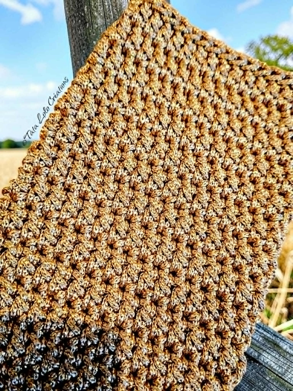 Pochette Les Vagabondes