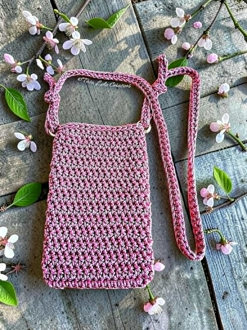 Pochette Les Vagabondes