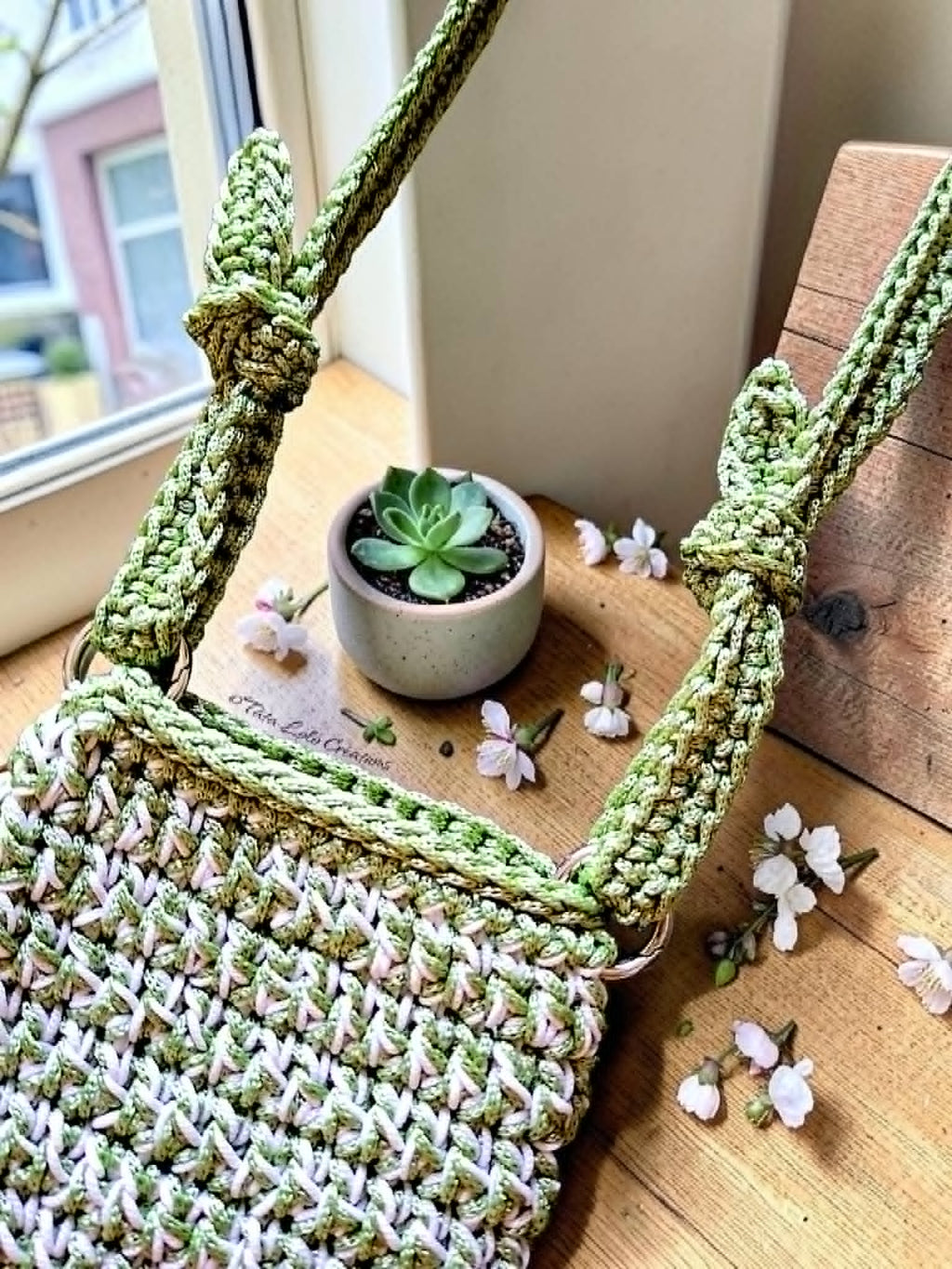 Pochette Les Vagabondes