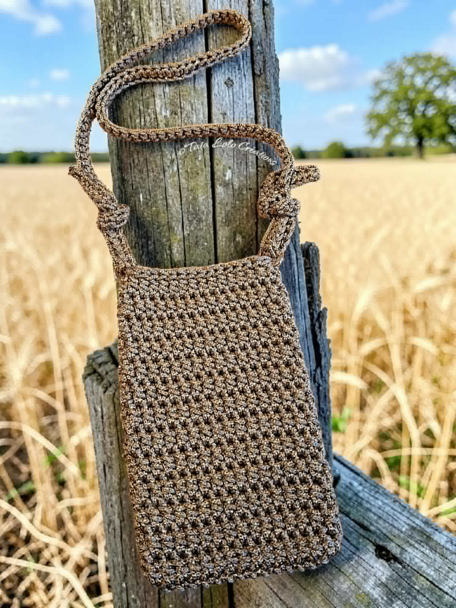 Pochette Les Vagabondes