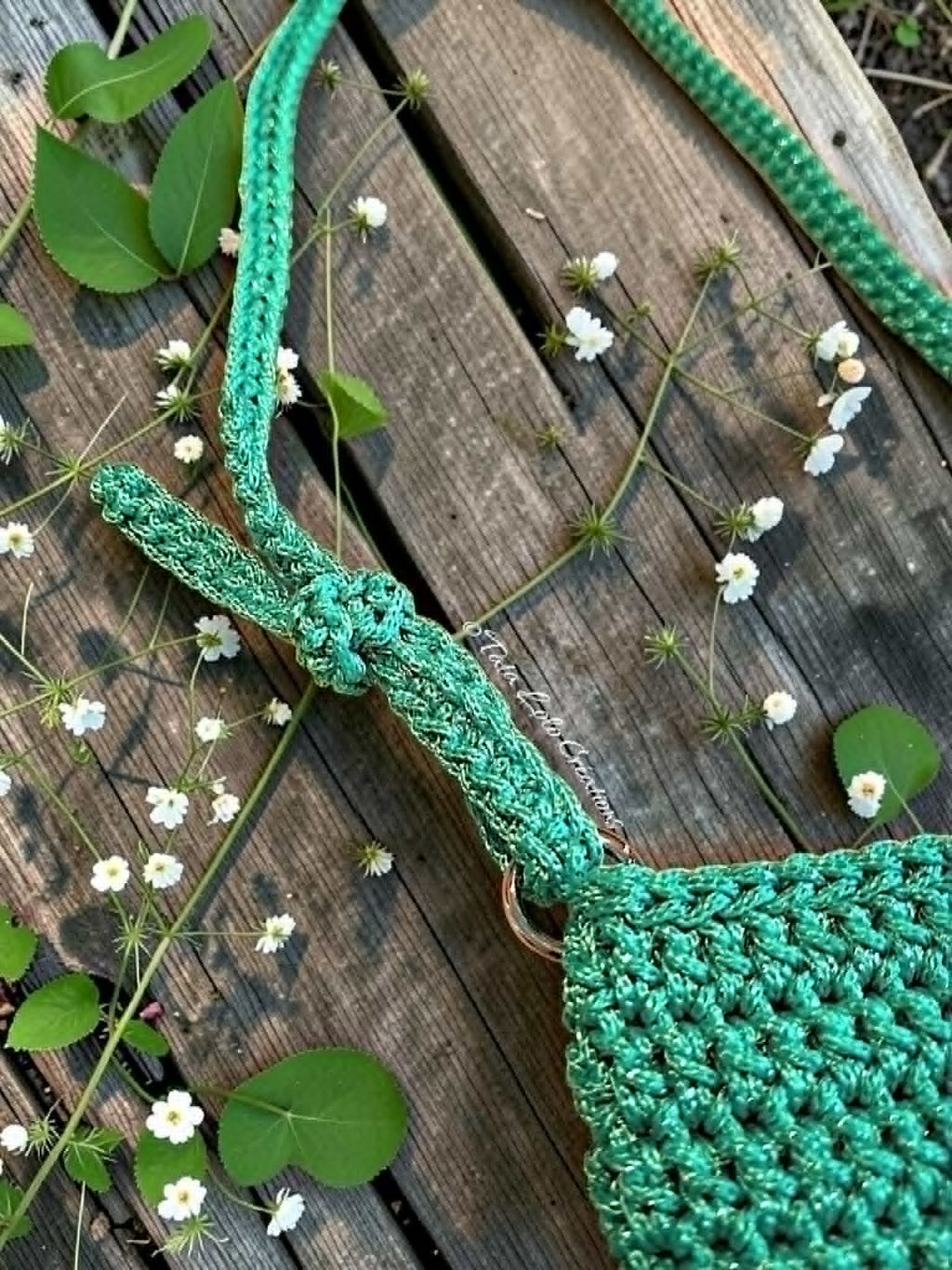 Pochette Les Vagabondes