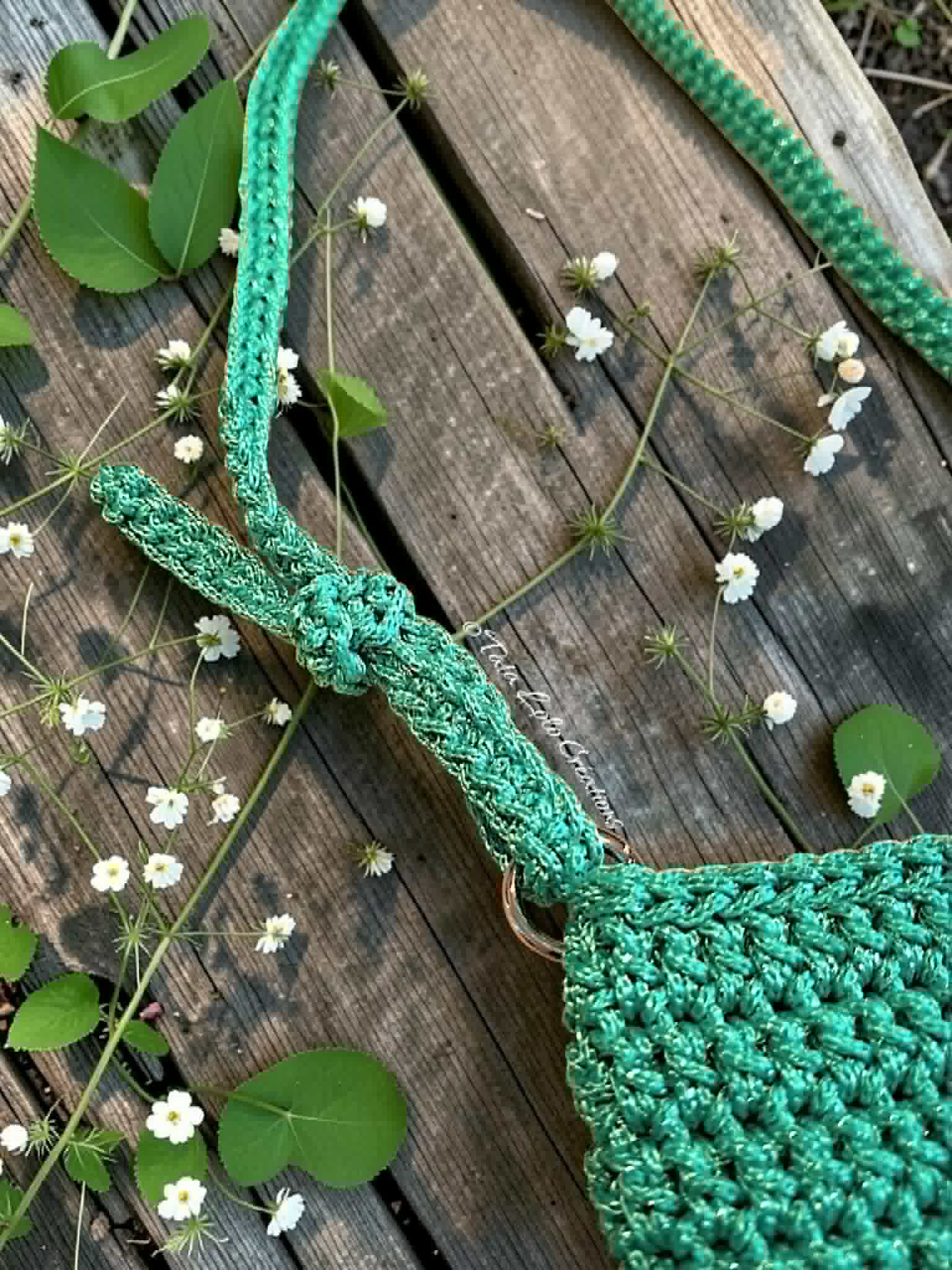 Pochette Les Vagabondes