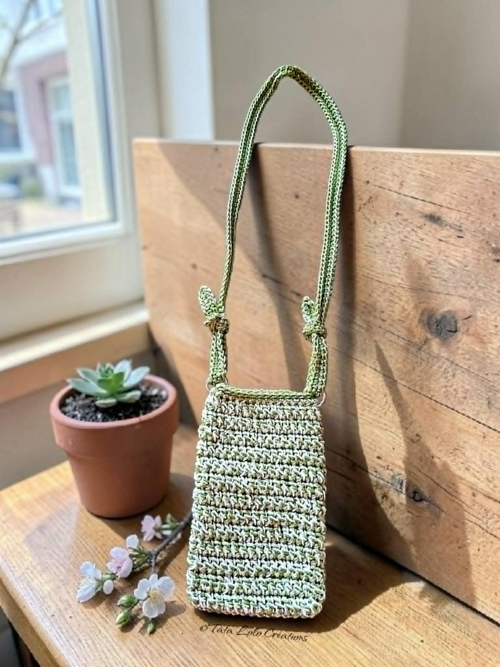 Pochette Les Vagabondes